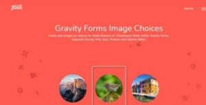 Gravity-Forms-Image-Choice