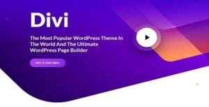 Divi-Theme-GPL